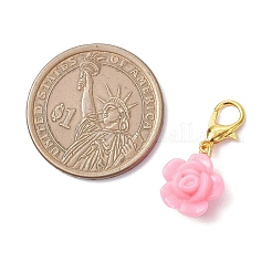 Цветочные акриловые подвесные украшения&nbsp;HJEW-JM04013-01