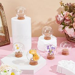 Стеклянный купол&nbsp;AJEW-WH0709-032