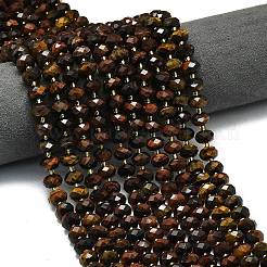 Окрашенные естественно тигровый глаз бисер пряди G-P573-A37-01