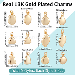 12 Stück 6 Stile Messing Charms&nbsp;KK-BBC0024-82