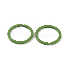 Окрашенные аэрозольной краской железные застежки для ключей IFIN-WH0063-13I