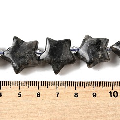 Натуральные нити бус из ларвикита G-U023-C01-09