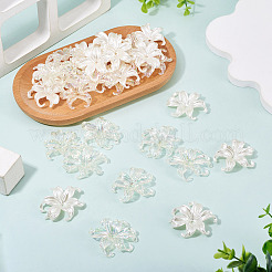 40 pièce de 2 styles de capuchons de perles en plastique&nbsp;KY-TA0001-67