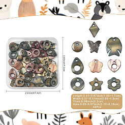 50 Stück natürliche&nbsp;SHEL-FS0001-17