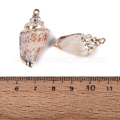 電気メッキされた金色の真鍮の縁取り、天然の螺旋状の貝殻ペンダント  巻貝チャーム  砂茶色  29~35x14~17x12~15mm  穴：1.8mm&nbsp;SSHEL-N042-27