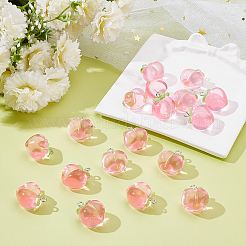 40шт прозрачные акриловые подвески MACR-WR0001-05B