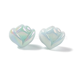 Непрозрачные акриловые бусины OACR-E004-16