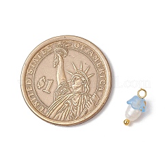 Цветочные акриловые подвески&nbsp;PALLOY-JF03588-12