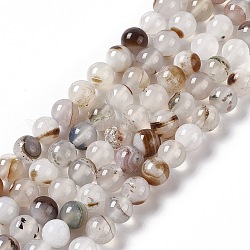 Natural Agate Beads Strands, Grade AB, Round, 8mm, Hole: 1.2mm, about 49pcs/strand, 14.96 inch(38cm)