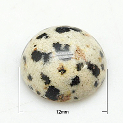 Edelstein-Cabochons, halbrund / Dome, Dalmatiner Jaspis, 12x5 mm