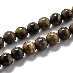 Round Natural Ocean Agate/Ocean Jasper Beads Strands, 6.5mm, Hole: 1.2mm, about 62pcs/strand, 15.35''(39cm)