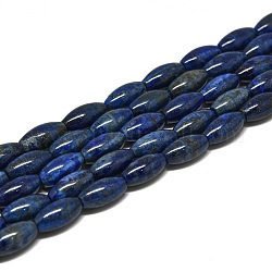 Chapelets de perles en lapis-lazuli naturel, riz, 16~17x8~9mm, Trou: 0.8mm, Environ 24 pcs/chapelet, 15.35'' (39 cm)
