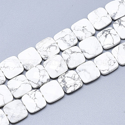 Natürliche Howlith Perlen Stränge, facettiert, Viereck, 12x12x4.5~5 mm, Bohrung: 1 mm, ca. 17 Stk. / Strang, 8.0''