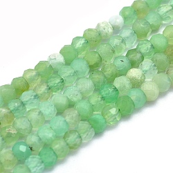 Brins naturels de perles de chrysoprase, rondelle, facette, 3x2mm, Trou: 0.5mm, Environ 194~195 pcs/chapelet, 15.7 pouce (40 cm)