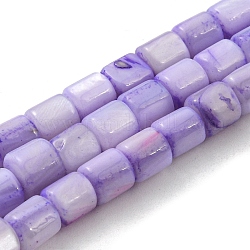 Natural Freshwater Shell Beads Strands, Dyed, Column, Medium Purple, 4~5.5x5mm, Hole: 0.6mm, about 74~75pcs/strand, 14.76~14.96 inch(37.5~38cm)