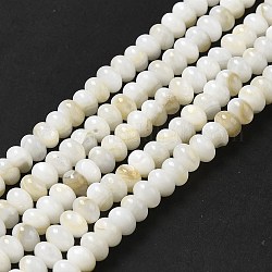 Eau douce naturelle de coquillage perles brins, rondelle, beige, 6x4mm, Trou: 0.9mm, Environ 97 pcs/chapelet, 15.31~15.39'' (38.9~39.1 cm)