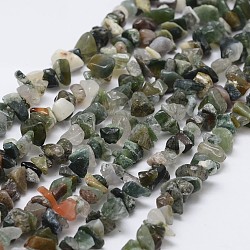 Chapelets de perles en agate indienne naturelle, puce, vert de mer clair, 3~5x7~13x2~4mm, Trou: 0.4mm, 34.9 pouce