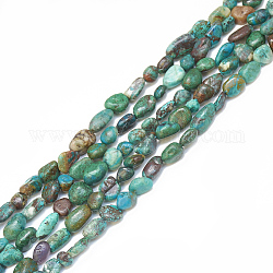 Chapelets de perles en chrysocolle naturelle, pierre roulée, pépites, 4~15x4~8x3~7mm, Trou: 1mm, Environ 40~70 pcs/chapelet, 15.7 pouce