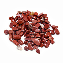 Abalorios de jaspe rojo naturales, piedra caída, sin agujero / sin perforar, patatas fritas, 8~20x5~10x1~7mm