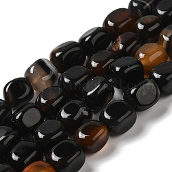 Chapelets de perles d'agate naturelle, teints et chauffée, cube, brun coco, 11~12x8~9.5x8~9.5mm, Trou: 1.2mm, Environ 16 pcs/chapelet, 7.48~7.72'' (19~19.6 cm)