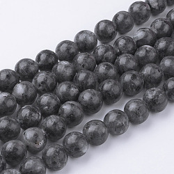 Fili di perline di larvikite nera naturale, tondo, 12~12.5mm, Foro: 1.5 mm, circa 31~32pcs/filo, 14.9 pollice (38 cm)