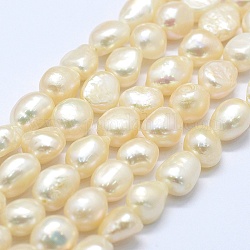 Natural Cultured Freshwater Pearl Beads Strands, Two Sides Polished, Old Lace, 9~13x9~10x6.5~10mm, Hole: 0.2mm, about 33pcs/strand, 14.1 inch