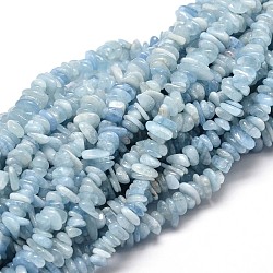 Chapelets de perles de puces aigue-marine naturelles, 5~14x4~10mm, Trou: 1mm, environ 15.5 pouce ~ 16.1 pouces