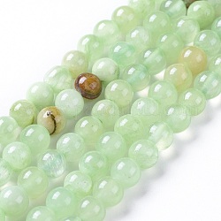 Chapelets de perles en préhnite naturelle, teinte, ronde, 6mm, Trou: 1.2mm, Environ 65 pcs/chapelet, 15.16 pouce (38.5 cm)