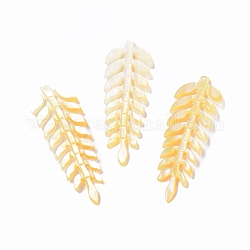 Natural Shell Pendants, Leaf, Yellow, 45~47x14~15x2~2.5mm, Hole: 0.8mm