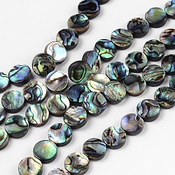 Brins de perles en coquille d'ormeau naturel / coquille de paua, plat rond, colorées, 10x3mm, Trou: 0.5mm, Environ 40 pcs/chapelet, 16 pouce