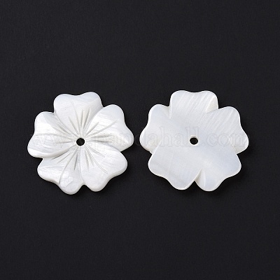 Натуральные белые бусины из ракушек SSHEL-C011-08-1