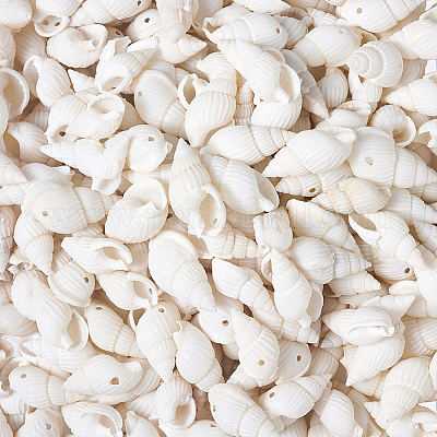 Натуральные бусины из ракушек-трубочек BSHE-KS0001-01-1