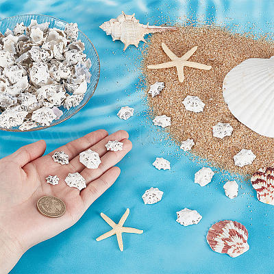 400 г натуральных ракушечных бусин SHEL-GA0002-31-1