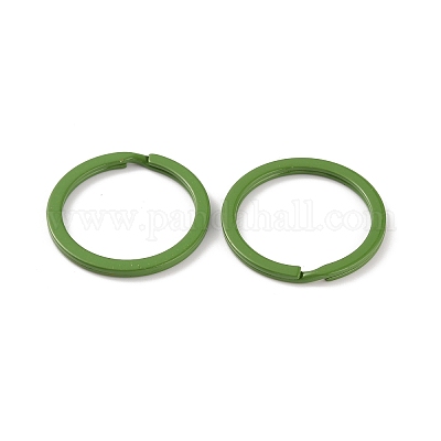 Окрашенные аэрозольной краской железные застежки для ключей IFIN-WH0063-13I-1