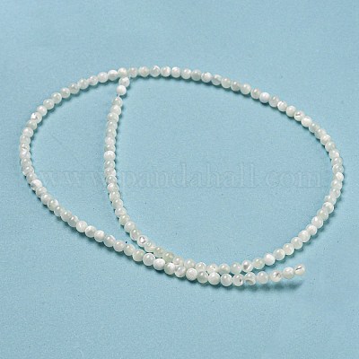 Нити бусин из натуральных трохоидных/трохус ракушек BSHE-Z005-04A-1