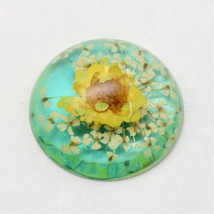 Resin Cabochons RESI-S320-25mm-05-1