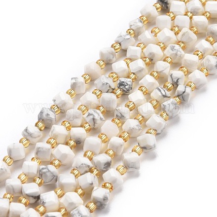 Natürliche Howlith Perlen Stränge G-P463-14-1