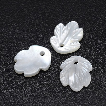 Leaf Natural White Shell Mother of Pearl Shell Charms SSHEL-E553-69-1