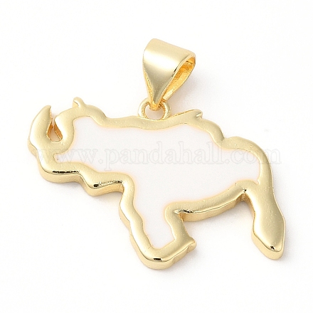 Эко-подвески с покрытием из латуни и эмали KK-R143-03C-1