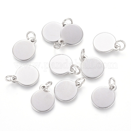 304 Stainless Steel Charms STAS-I124-02C-P-1