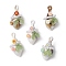 Acrylic & Copper & Resin & ABS Plastic Imitation Pearl Pendants, Conch Shape, Mixed Color, 32.5x16~19x16~16.5mm, Hole: 3mm