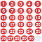 OLYCRAFT 30pcs Red Plastic Number Tag 1.9 Inch Plastic Number Label Round Number Brooch Number Tags with Pins Label with 1-30 Number Badge for Organizing Backpack Clothes Indoor Outdoor Activity