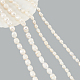 Nbeads 4 fili 2 stili fili di perle d'acqua dolce coltivate naturali PEAR-NB0001-64-8