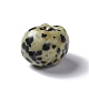 Perles de jaspe dalmatien naturelle G-I352-02-5