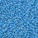 11/0 Grade A Round Glass Seed Beads SEED-N001-F-256-2