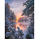 DIY прямоугольник лес снежный пейзаж тема наборы алмазной живописи PW-WG20335-01-1
