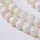 Coquille naturelle brins de perles rondes BSHE-O016-B-03-1