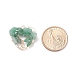 Ciondoli gemstone naturale PALLOY-JF01449-3