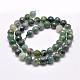 Natural Moss Agate Beads Strands G-F350-6mm-2