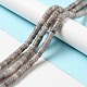Natural Mica Stone Beads Strands G-C245-04-2